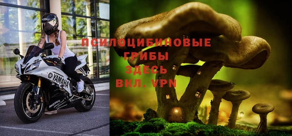 марки lsd Краснослободск