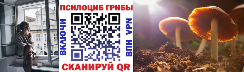 Галлюциногенные грибы MAGIC MUSHROOMS  Купить  Ярцево 