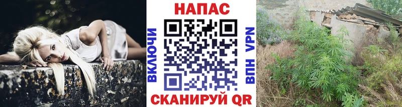 Купить закладки  Ярцево  Канабис SATIVA & INDICA 